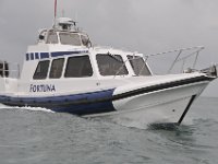 DSC 4276
