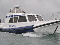 DSC 4277