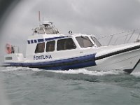 DSC 4280