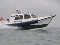 DSC 4291