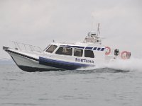 DSC 4321