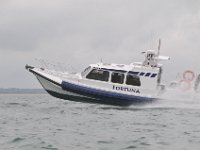 DSC 4329