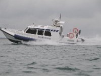 DSC 4331