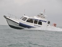 DSC 4355