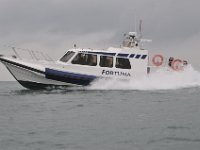 DSC 4358