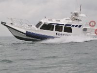 DSC 4359