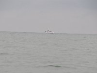 DSC 4361