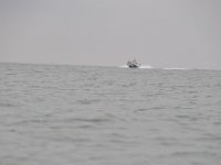 DSC 4362