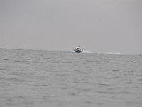 DSC 4363