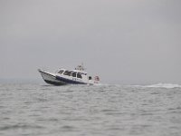 DSC 4377