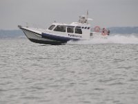 DSC 4398