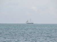 DSC 4081