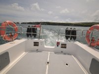 DSC 4092