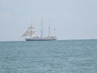 DSC 4101