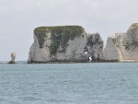 DSC 4105