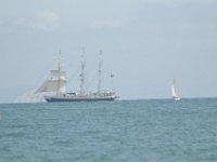 DSC 4116