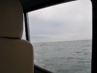 DSC 4622