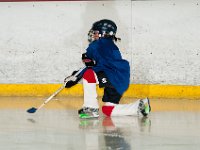 DSC 8531 : Ella Hockey