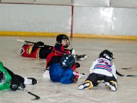 DSC 8552 : Ella Hockey