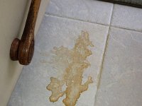 IMG 0261