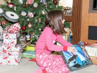 DSC 5432 : Christmas 2013