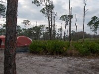 DSC 7731