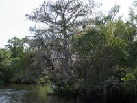 DSC 7812