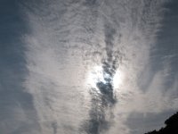 DSC 7818