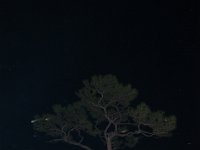 DSC 7858