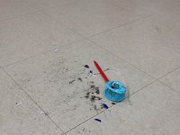 IMG 0057