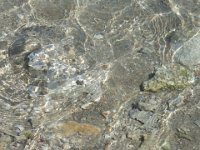 P1000546