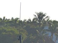 P1000566