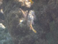 P1060720