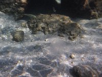 P1060764