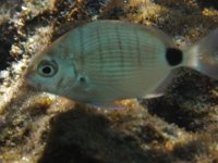 P1060769