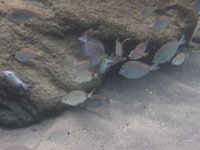 P1060809