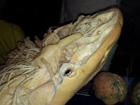 20130731 122004