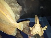 20130731 123036