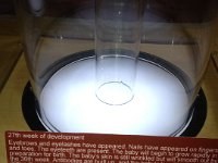 IMG 0234