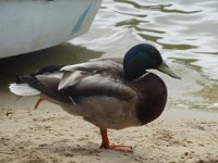 DSC01880
