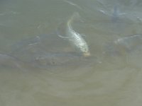 DSC01890