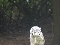 DSC01919