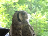 DSC01927