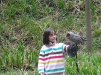 DSC01936