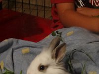 DSC01978