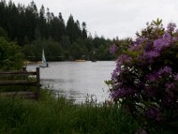 DSC 9070