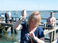 DSC 9121 : Poole Brownsea June 2013