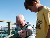 DSC 9127 : Poole Brownsea June 2013