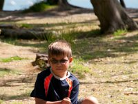 DSC 9315 : Poole Brownsea June 2013