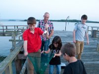 DSC 9353 : Poole Brownsea June 2013